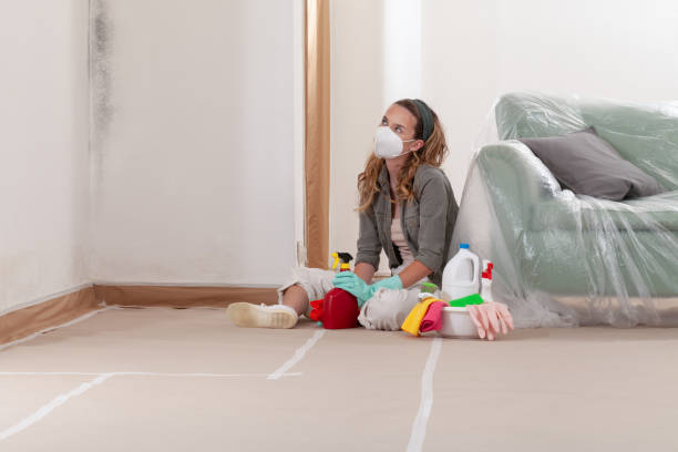 Reliable Mold Remediation contractor in Orrstown, PA by WQB Mold Removal